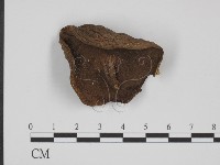 登錄號:F0012970藏品圖，第1張