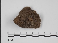 登錄號:F0012970藏品圖，第3張