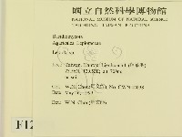 登錄號:F0012974藏品圖，第2張