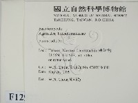 登錄號:F0012977藏品圖，第2張