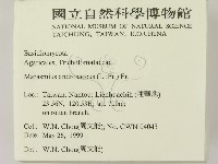登錄號:F0012979藏品圖，第2張