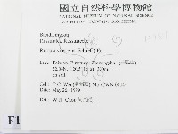登錄號:F0012981藏品圖，第2張