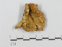 登錄號:F0012981藏品圖，第3張