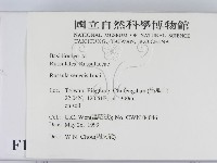 登錄號:F0012982藏品圖，第2張