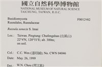 登錄號:F0012982藏品圖，第4張