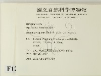 登錄號:F0012984藏品圖，第2張