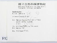 登錄號:F0012985藏品圖，第2張