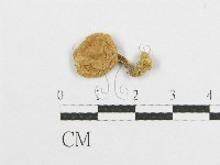 登錄號:F0012985藏品圖，第1張