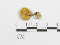 登錄號:F0012985藏品圖，第3張