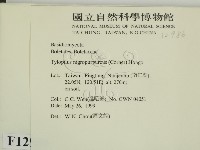 登錄號:F0012986藏品圖，第2張