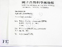 登錄號:F0012989藏品圖，第2張