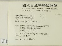 登錄號:F0012990藏品圖，第2張