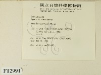 登錄號:F0012991藏品圖，第2張