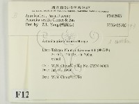 登錄號:F0012993藏品圖，第2張
