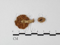 登錄號:F0012994藏品圖，第3張