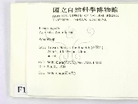 鵝膏屬藏品圖，第2張