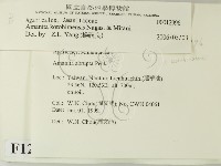登錄號:F0012996藏品圖，第2張