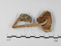 登錄號:F0012996藏品圖，第1張