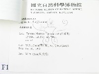 登錄號:F0012998藏品圖，第3張