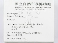 登錄號:F0013000藏品圖，第2張