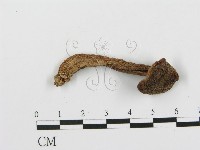 登錄號:F0013000藏品圖，第3張