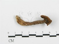 登錄號:F0013000藏品圖，第4張