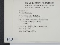 登錄號:F0013001藏品圖，第2張