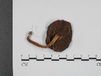 登錄號:F0013001藏品圖，第3張
