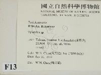 登錄號:F0013002藏品圖，第2張