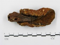 登錄號:F0013003藏品圖，第1張