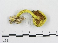 登錄號:F0013004藏品圖，第1張