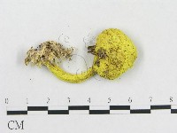 登錄號:F0013004藏品圖，第3張