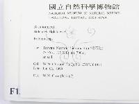登錄號:F0013005藏品圖，第2張