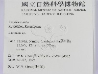 乳菇屬藏品圖，第2張