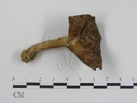 登錄號:F0013008藏品圖，第1張