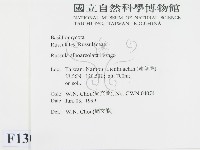 登錄號:F0013009藏品圖，第2張