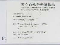 登錄號:F0013010藏品圖，第2張