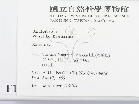 紅菇屬藏品圖，第2張