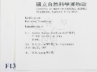 登錄號:F0013013藏品圖，第2張
