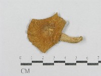 登錄號:F0013013藏品圖，第3張