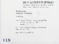 紅菇屬藏品圖，第2張