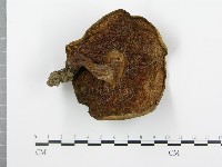 登錄號:F0013015藏品圖，第3張