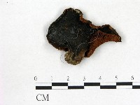 登錄號:F0013021藏品圖，第1張