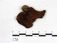 登錄號:F0013021藏品圖，第3張