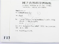 紅菇屬藏品圖，第2張