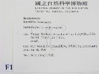 登錄號:F0013026藏品圖，第2張