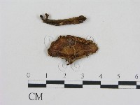 登錄號:F0013026藏品圖，第3張