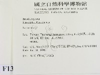 乳菇屬藏品圖，第2張