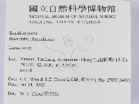 乳菇屬藏品圖，第2張