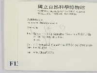 小菇屬藏品圖，第2張